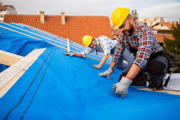 Best Chimney Flashing Repair  in Sebewaing, MI