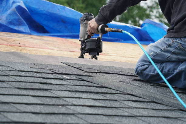 Best Emergency Roof Repair Services  in Sebewaing, MI