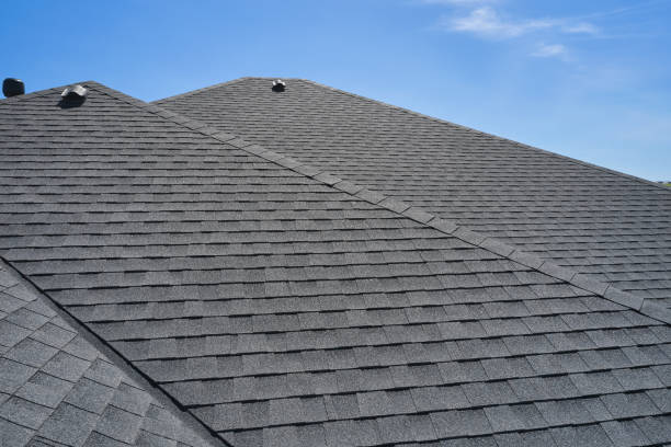 Best Roof Maintenance and Cleaning  in Sebewaing, MI