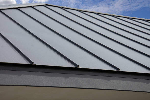 Best Roof Ventilation Installation  in Sebewaing, MI